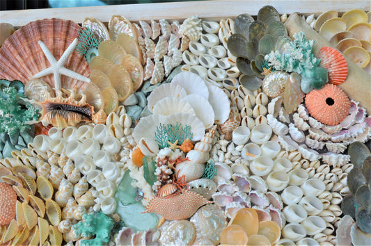 Seashell Wall Art Mermaid Collage 36x12" Handmade Coastal 3-D Dimensional Driftwood Urchins Coral White Beach Décor Turquoise & Coral