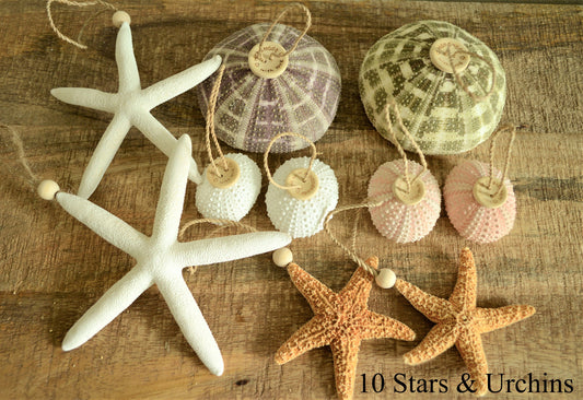 Seashell Ornaments *You choose Type and Quantity* Starfish Sea Shell Urchins Beach Coastal Party