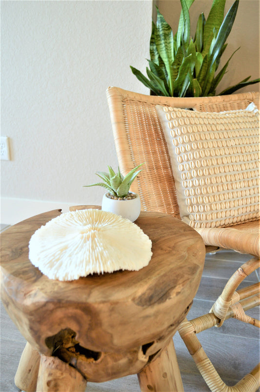 MUSHROOM Bone White Coral *All Sizes* Authentic Natural Real Sea Fossil Coastal Décor