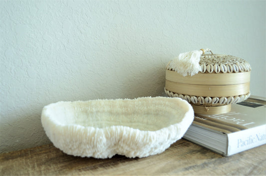 BOWL CORAL White *All Sizes* Authentic Natural Real Sea Fossil Coastal Décor