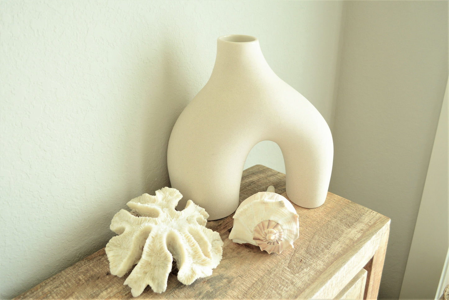 BRAIN CORAL White *All Sizes* Authentic Natural Real Sea Fossil Coastal Décor