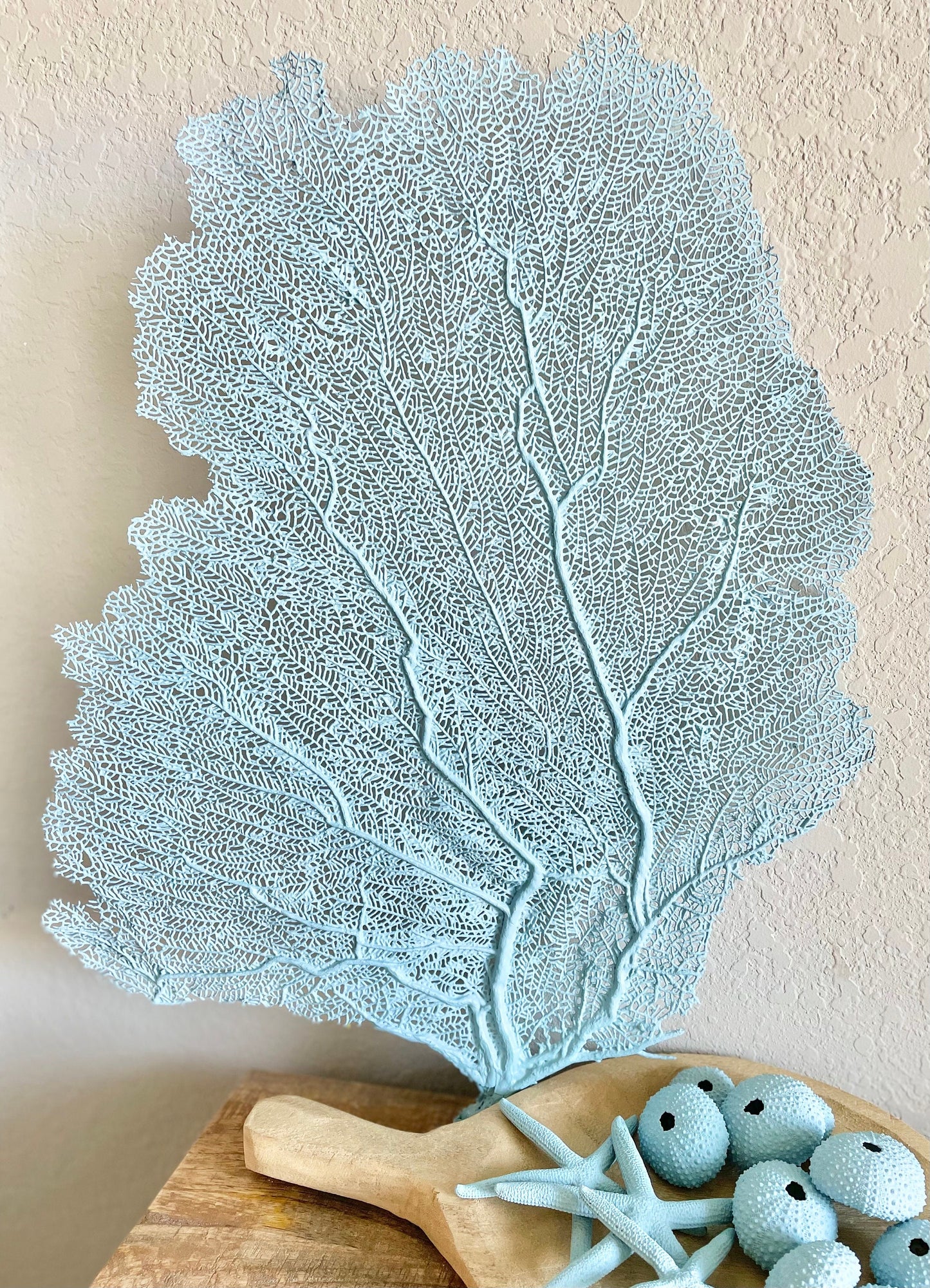 Light Blue Sea Fan 10-16" *You Choose Size* Natural Hand Painted Coastal Décor