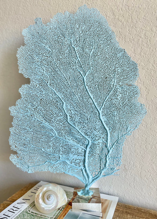 Light Blue Sea Fan (8-20") *You Choose Size* Natural Hand Painted Coastal Décor