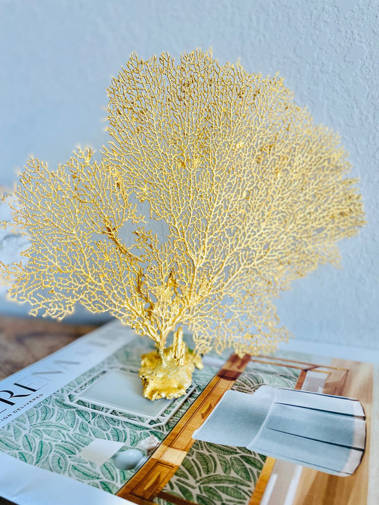 Gold Sea Fan (8-20") *You Choose Size* Natural Hand Painted Coastal Décor