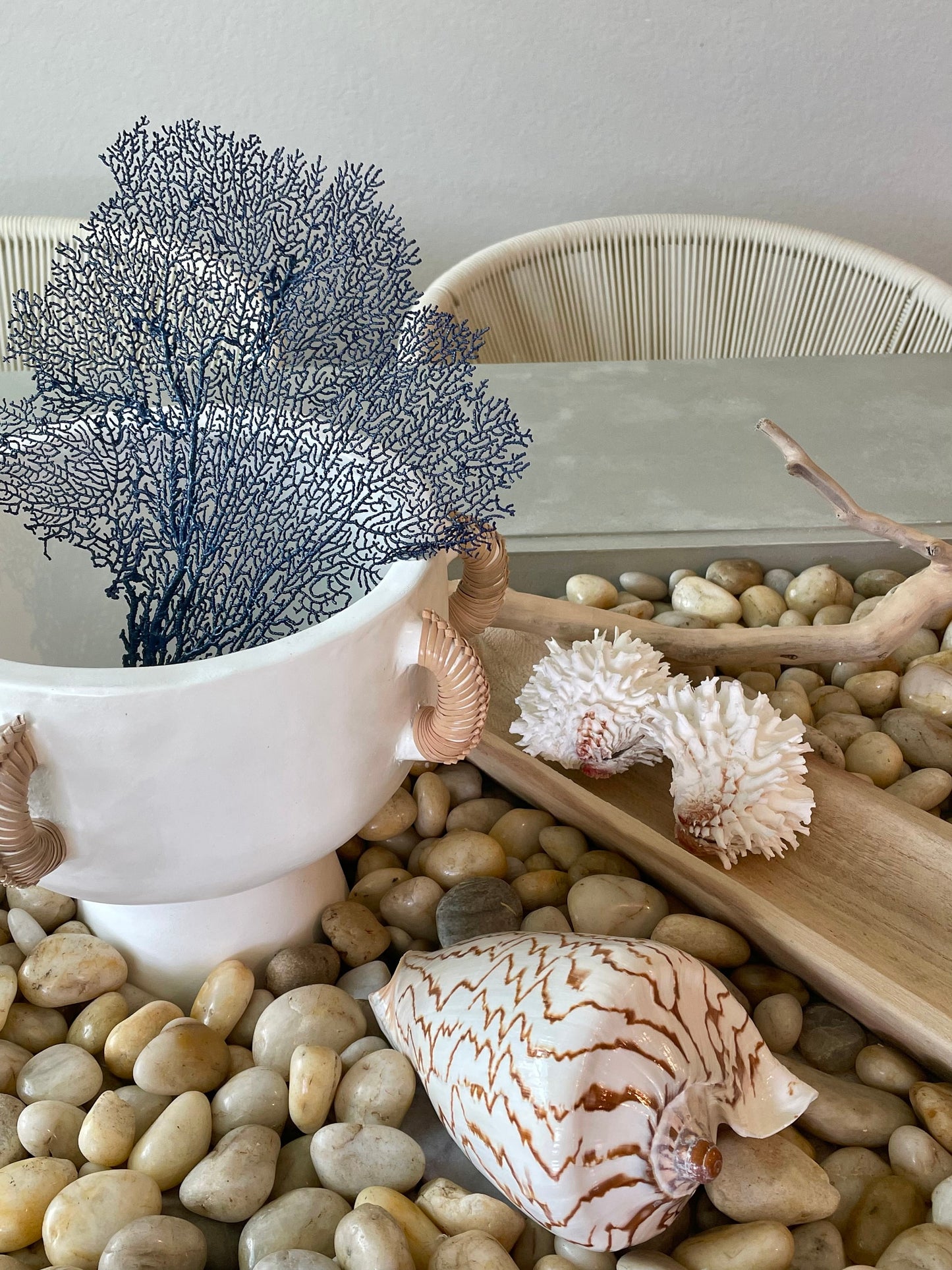 Navy Blue Sea Fan (8-20") *You Choose Size* Natural Hand Painted Coastal Décor
