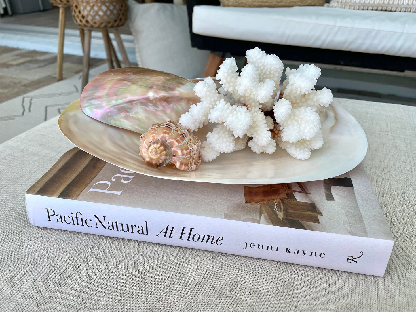 Giant Mussel Shell Half's *All Sizes* Polished Mother of Pearl Decorative Dish