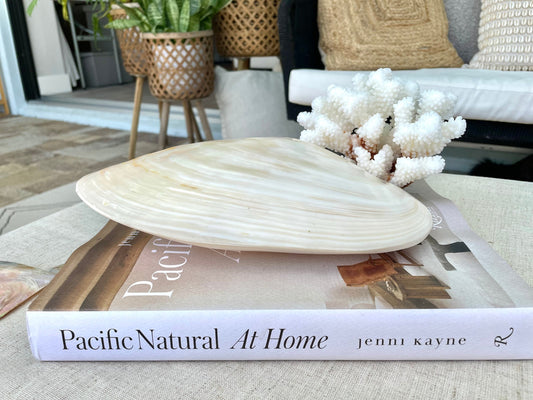 Giant Full Mussel Shell: 7-10" Iridescent Mother of Pearl, Nautical Coastal Décor