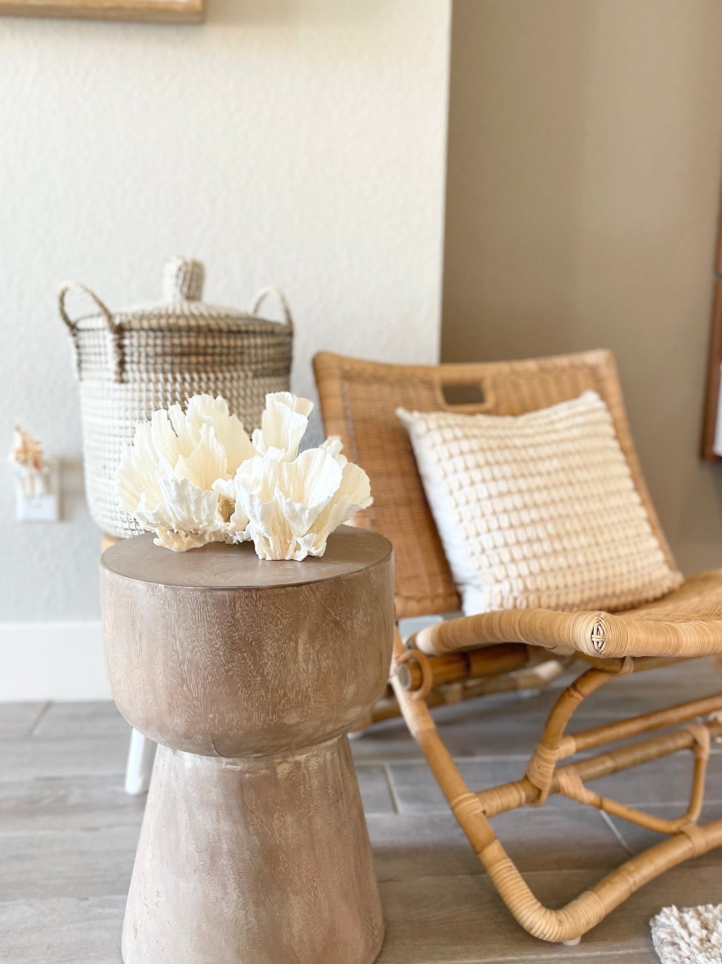 POCA CORAL All Sizes Authentic Natural Real Sea Fossil White Coastal Décor Ocean Beach House Organic Sustainable Nature Art Aquarium