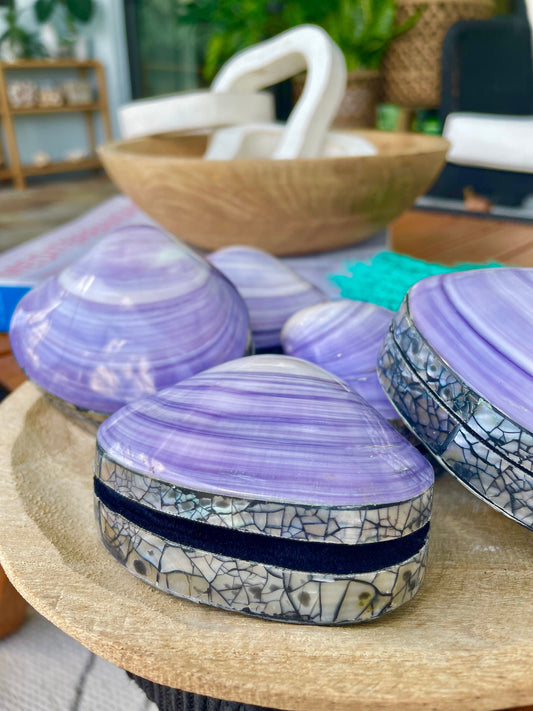 Coastal Gift Box Purple Clam 3.5" Mermaid Shell Irredescent Seashell Jewelry