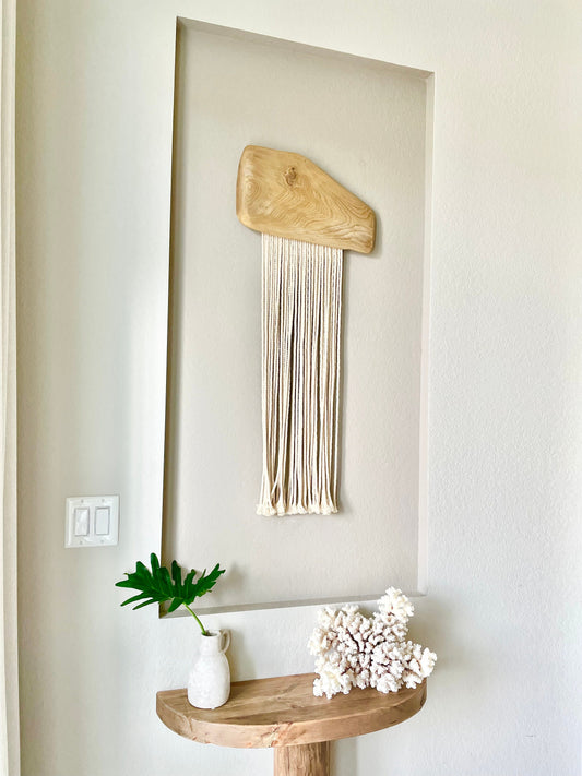 BROWNSTEM CORAL White *All Sizes* Authentic Natural Real Sea Fossil Coastal Décor