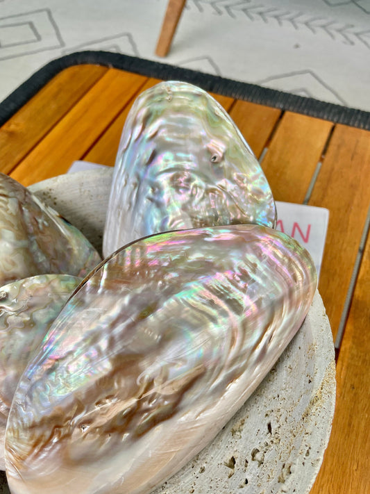 FULL MUSSEL SHELL Pair *All Sizes* Mother of Pearl Irredescent Display Seashell Large Clam Beach Coastal Décor