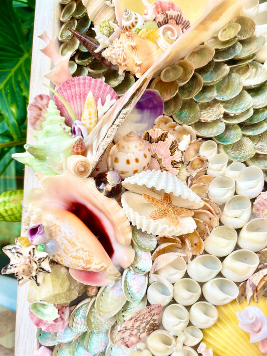 Handmade Seashell Wall Art, Coastal Décor, Colorful Mermaid House (36x12)