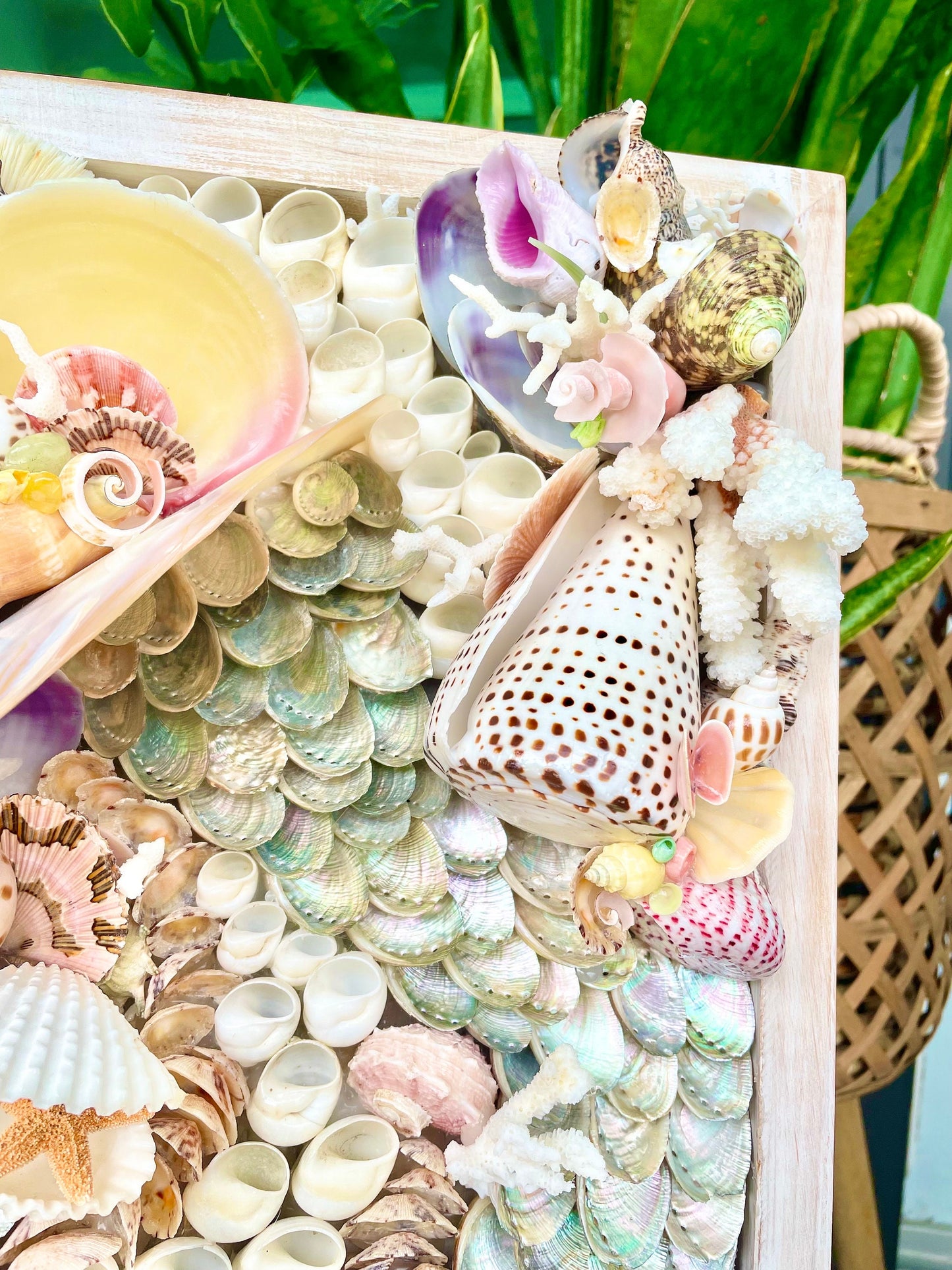 Mermaid House 36x12" Colorful Handmade Seashell Coastal Wall Art Sea shells Urchins Coral Beach House Décor Pink Green Yellow Sanibel