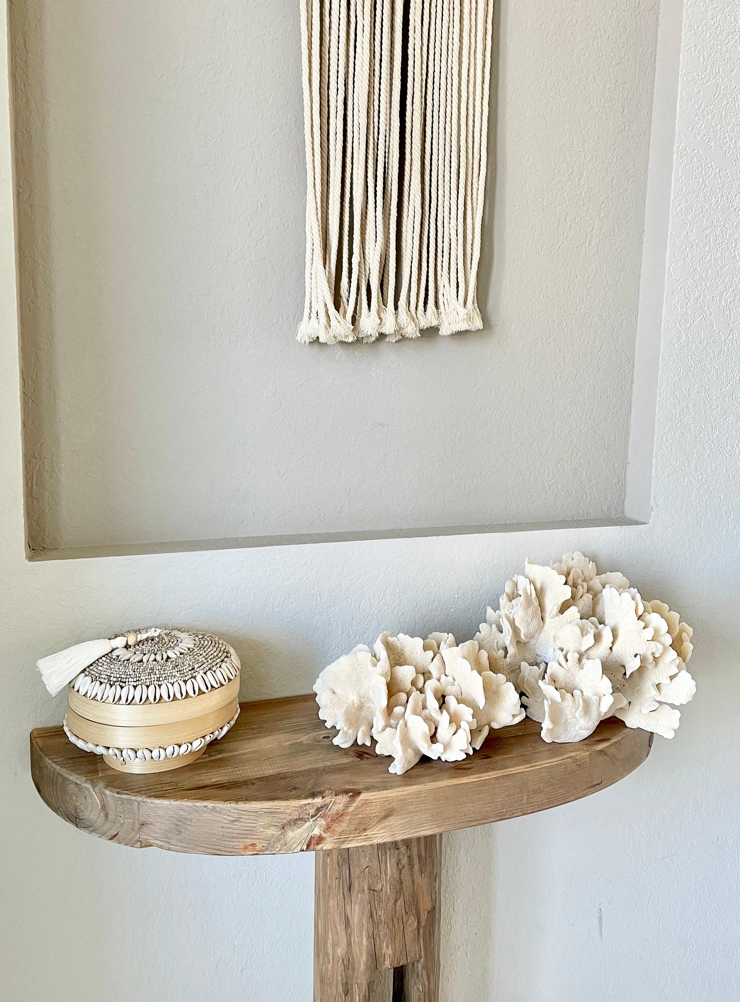 CACTUS CORAL Beige *All Sizes* Authentic Natural Real Sea Fossil Coastal Décor
