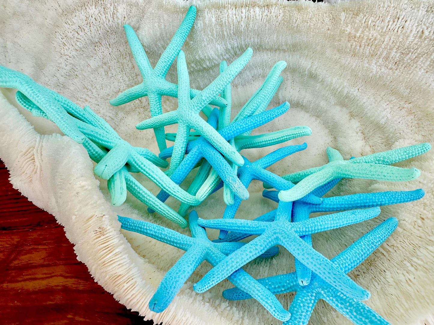 Painted Pencil Starfish 3-6" *You Pick Quantity* Seafoam Green & Light Blue, Coastal Decor