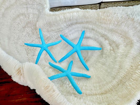 Painted Pencil Starfish 3-6" *You Pick Quantity* Seafoam Green & Light Blue, Coastal Decor