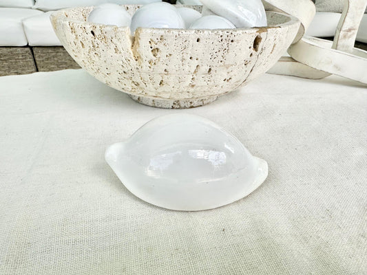 WHITE EGG COWRIE Shells *All Sizes* Ovula Display Craft Seashell Coastal Beach Home Décor