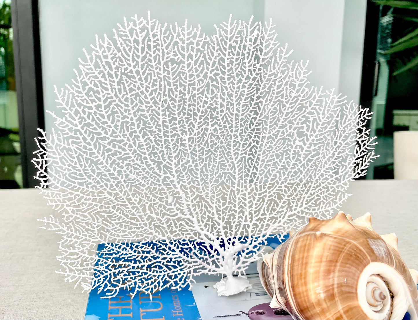 White Sea Fan 10-16" *You Choose Size* Natural Hand Painted Coastal Décor