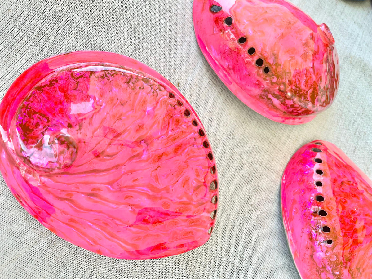 Polished Hot Pink Abalone Shell - Iridescent Coastal Decor (5.5-6")