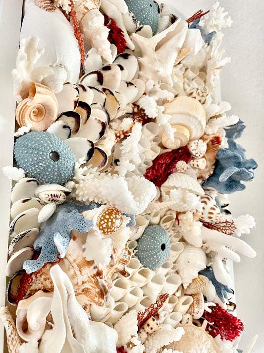 Seashell Wall Art: Textured Coastal Décor, Natural Shells & Coral, 36x12" Red Blue White