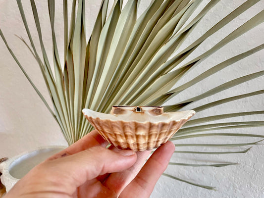 Mexican Scallop Shells: 3-3.5" Yellow Brown Beach Craft Candle Seashells