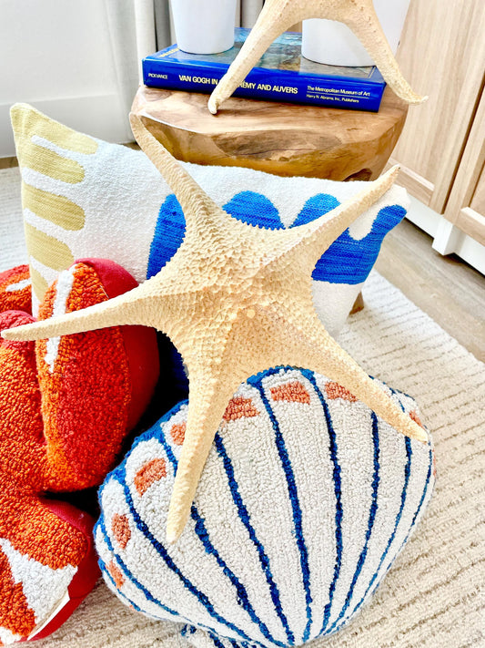 Rare Pink Tip Starfish 14-17" *You choose Size* Beach Coastal Home Décor