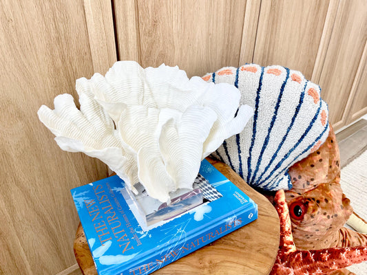 Natural Ocean Sculptural Wavy RUGOSA CORAL 11.25" Wide Mounted On Clear Lucite Base Genuine Display Decorative Coastal Beach Home Décor Gift