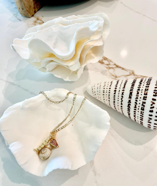 White Scalloped Edge Clam Shell 1/2 Shells *3-6", You Choose Size, Natural