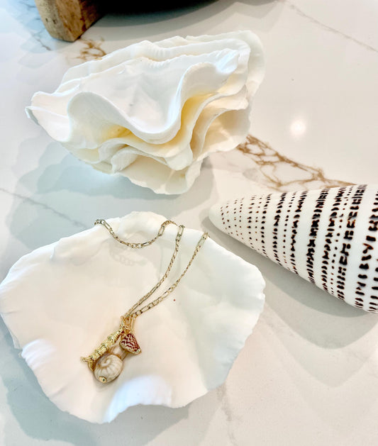 White Scalloped Edge Clam Shell 1/2 Shells *3-6", You Choose Size, Natural