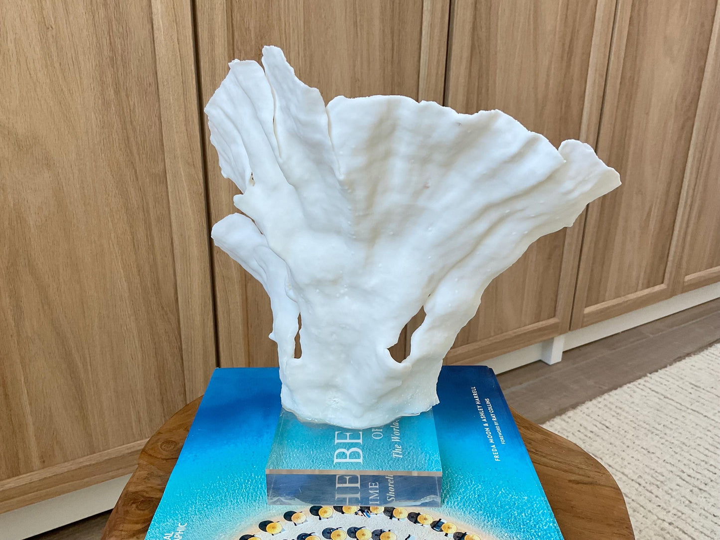 Mounted 10.5" Natural CUP RUGOSA CORAL Fossil Lucite Display Specimen Sculpture Ocean Art Decorative Coastal Beach Home Décor Wedding Gift