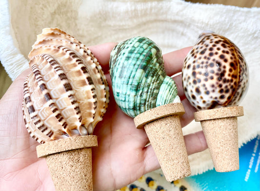 Authentic Ocean Seashell Wine Bottle Stopper Coastal Beach Lovers Gift Natural Organic Sustainable Cork Décor Cone Shells Turbo Cowry Harp