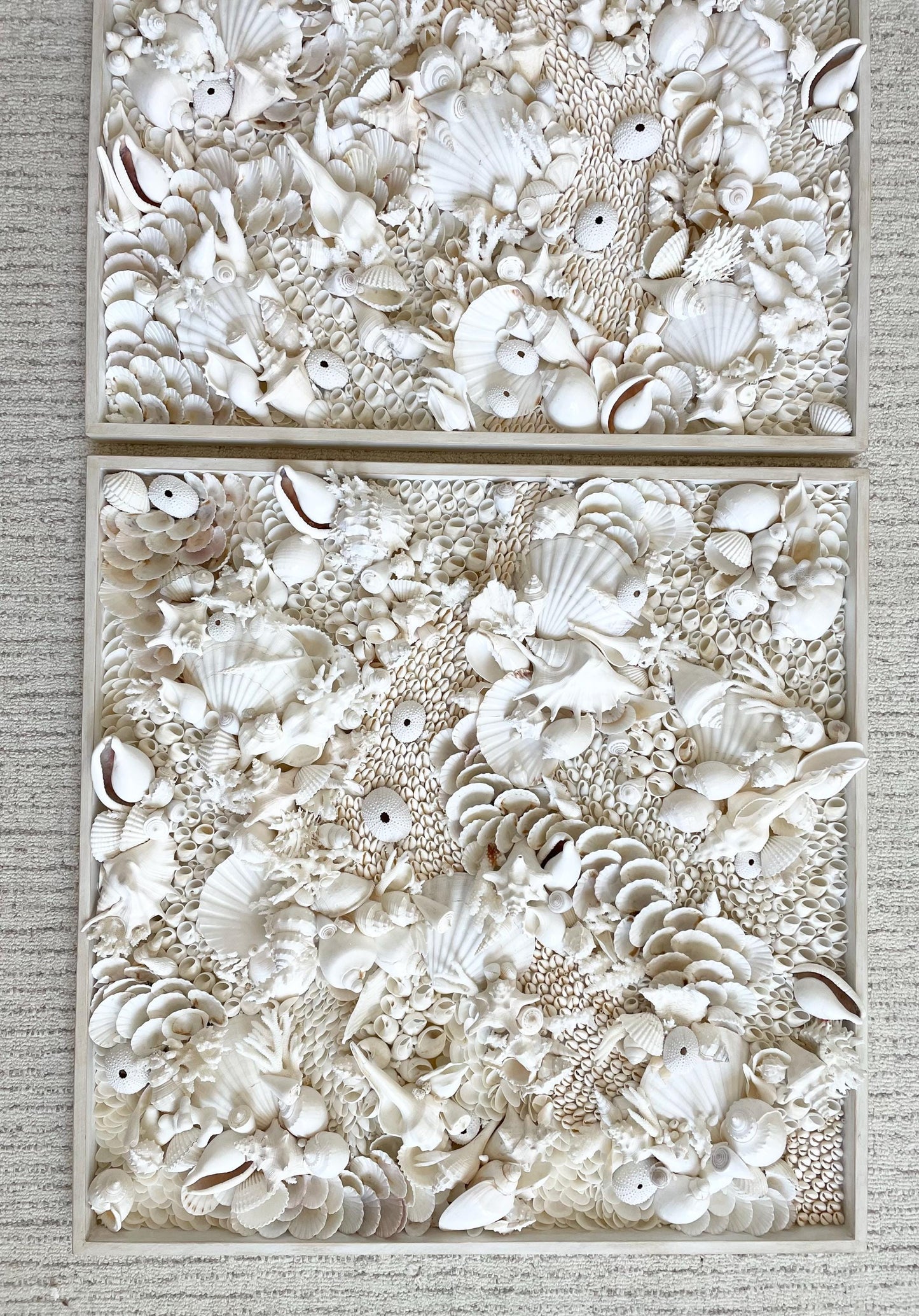 Handmade Modern Coastal Wall Art Natural Textured House Décor Seashells Urchins Coral 16", 24", 30" Square Beach White Sanibel Florida