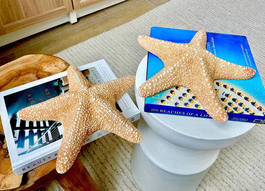 Jungle Starfish 9-10" Natural Orange Sea Star Coastal Décor
