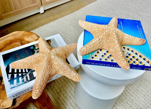 Jungle Starfish 9-10" Natural Orange Sea Star Coastal Décor