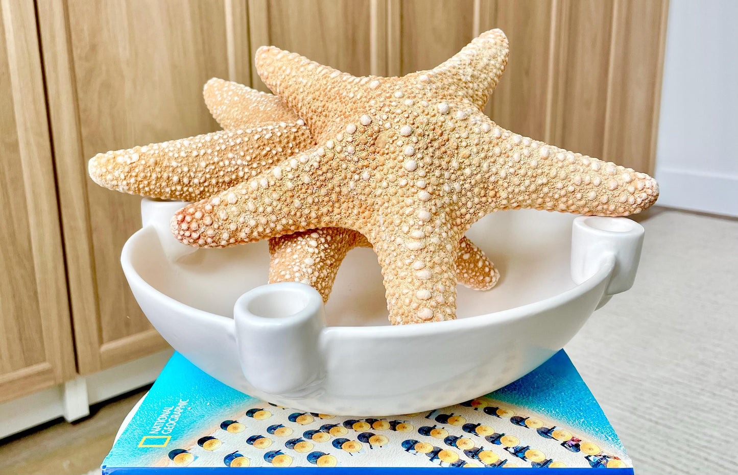 Jungle Starfish 9-10" Natural Orange Sea Star Coastal Décor