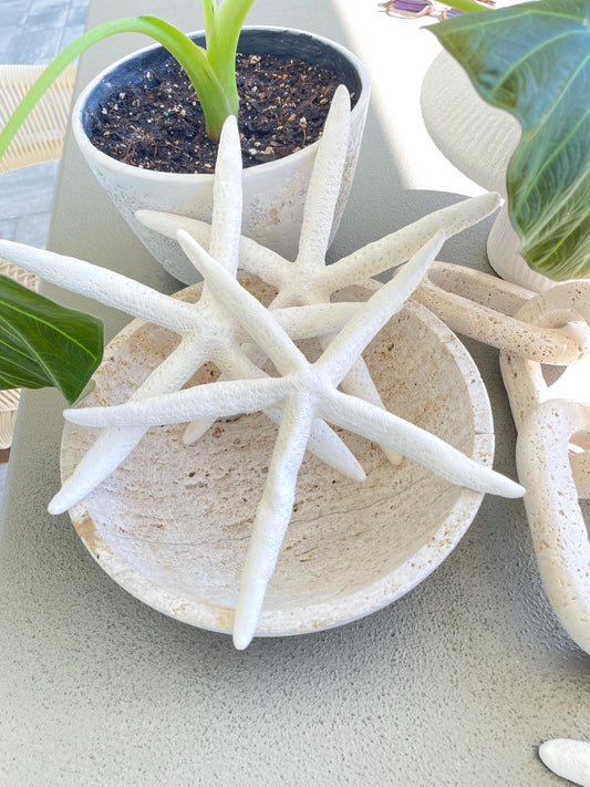 100% Real White Pencil Finger Starfish ALL SIZES Crafts & Coastal Décor Wedding Beach Nautical Sea Stars Natural