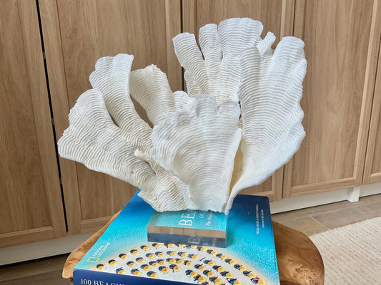 Mounted 12" Natural CUP RUGOSA CORAL Fossil Lucite Display Specimen Sculpture Ocean Art Decorative Coastal Beach Home Décor Wedding Gift