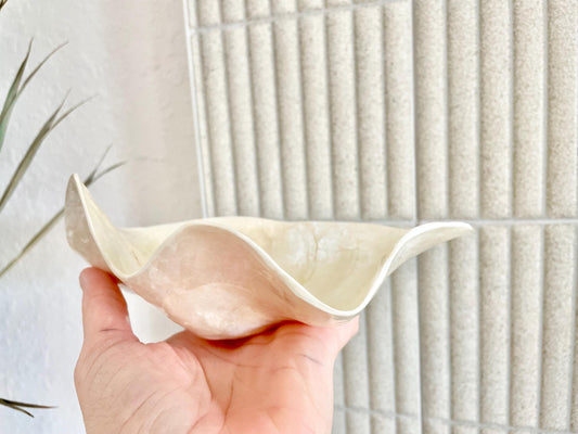 CAPIZ SHELL BOWL 8x5.5x3" Clam Shaped Seashell Natural Cream Ivory Coastal Home Décor