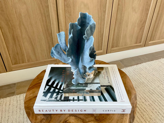 Genuine 100% Natural 8” Tall BLUE RIDGE CORAL Acrylic Mounted Ocean Reef Coastal Beach Décor Nautical Gift Real Ocean Treasure