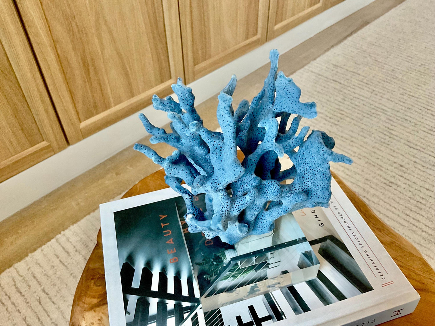 Genuine 100% Natural 8” Tall BLUE RIDGE CORAL Acrylic Mounted Ocean Reef Coastal Beach Décor Nautical Gift Real Ocean Treasure