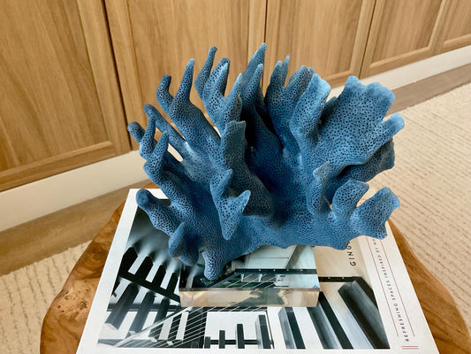 Genuine 100% Natural 8” Wide Dark BLUE RIDGE CORAL Acrylic Mounted Ocean Reef Coastal Beach Décor Nautical Gift Real Ocean Treasure