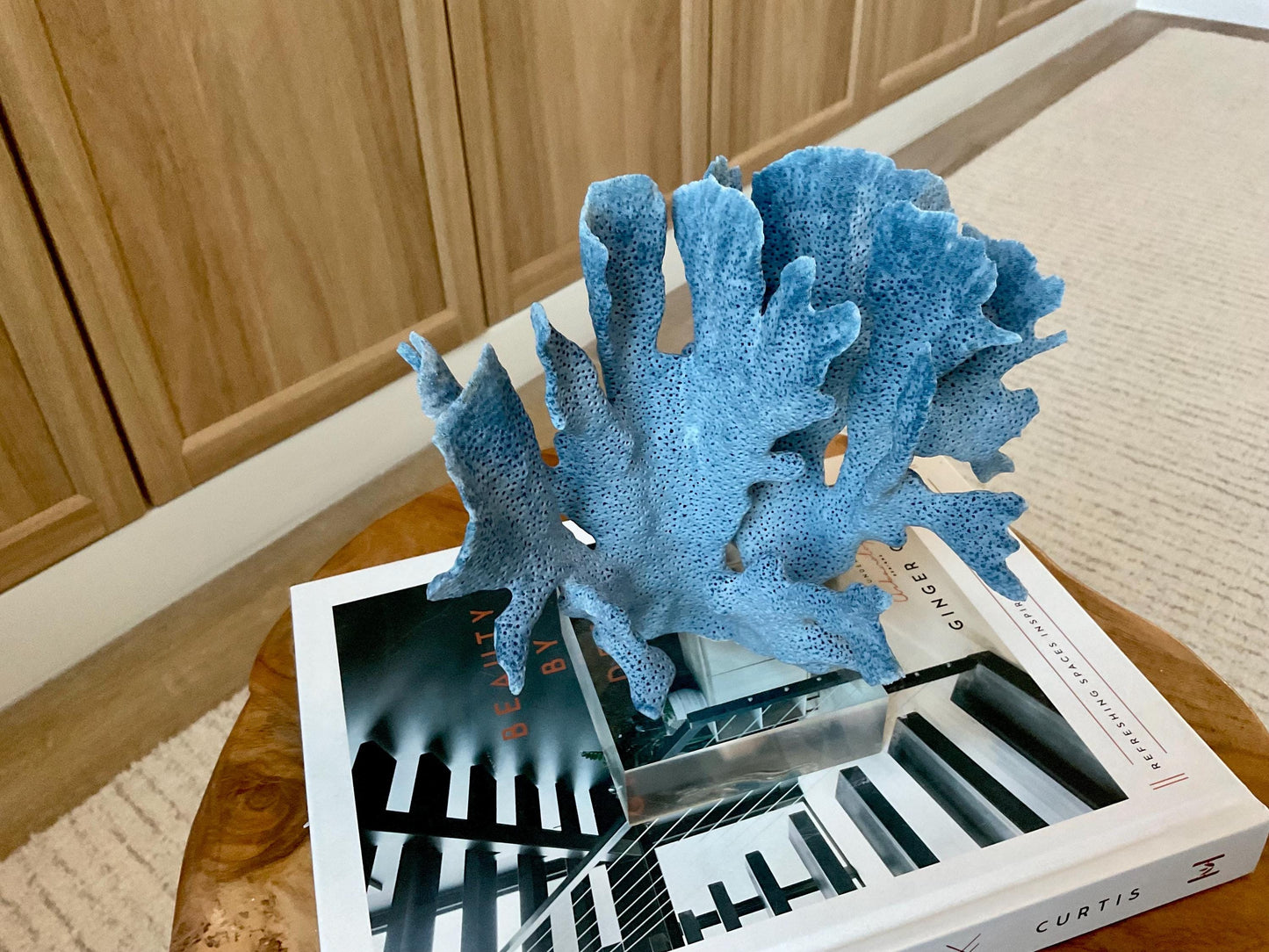 Genuine 100% Natural 7” Tall BLUE RIDGE CORAL Acrylic Mounted Ocean Reef Coastal Beach Décor Nautical Gift Real Ocean Treasure
