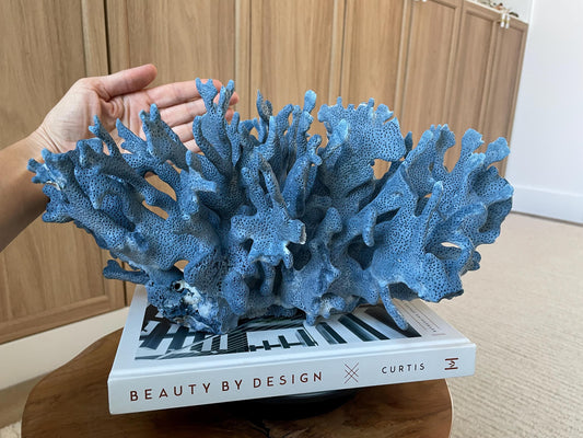Genuine 100% Natural Blue Ridge Coral 15" Long Fossil Specimen Coastal Ocean Reef Display Nautical Beach House Décor