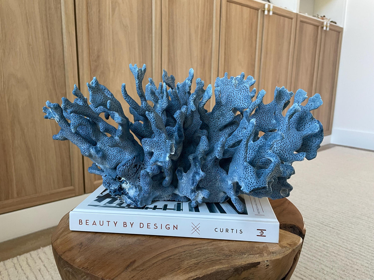 Genuine 100% Natural Blue Ridge Coral 15" Long Fossil Specimen Coastal Ocean Reef Display Nautical Beach House Décor