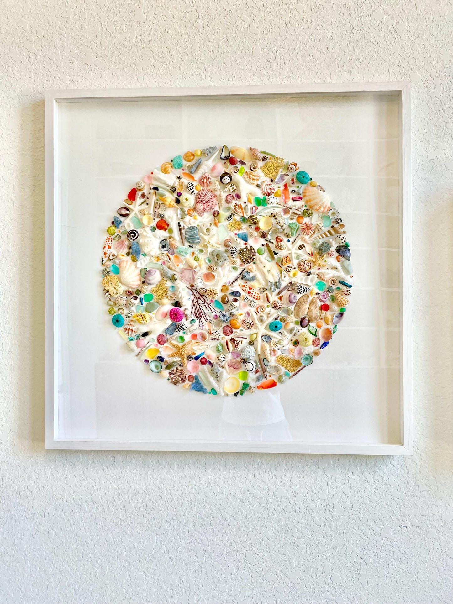 Modern Colorful Framed Shadowbox Coastal Shell Wall Art 31" Square Natural Beach House Décor