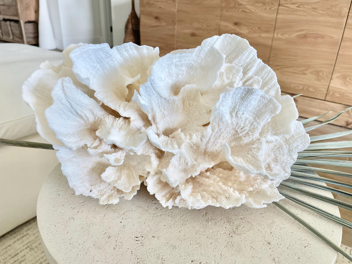 FLUFFY POCA CORAL 100% Natural 13" x 9" x 6.5" White Fossil Specimen Coastal Beach House Décor