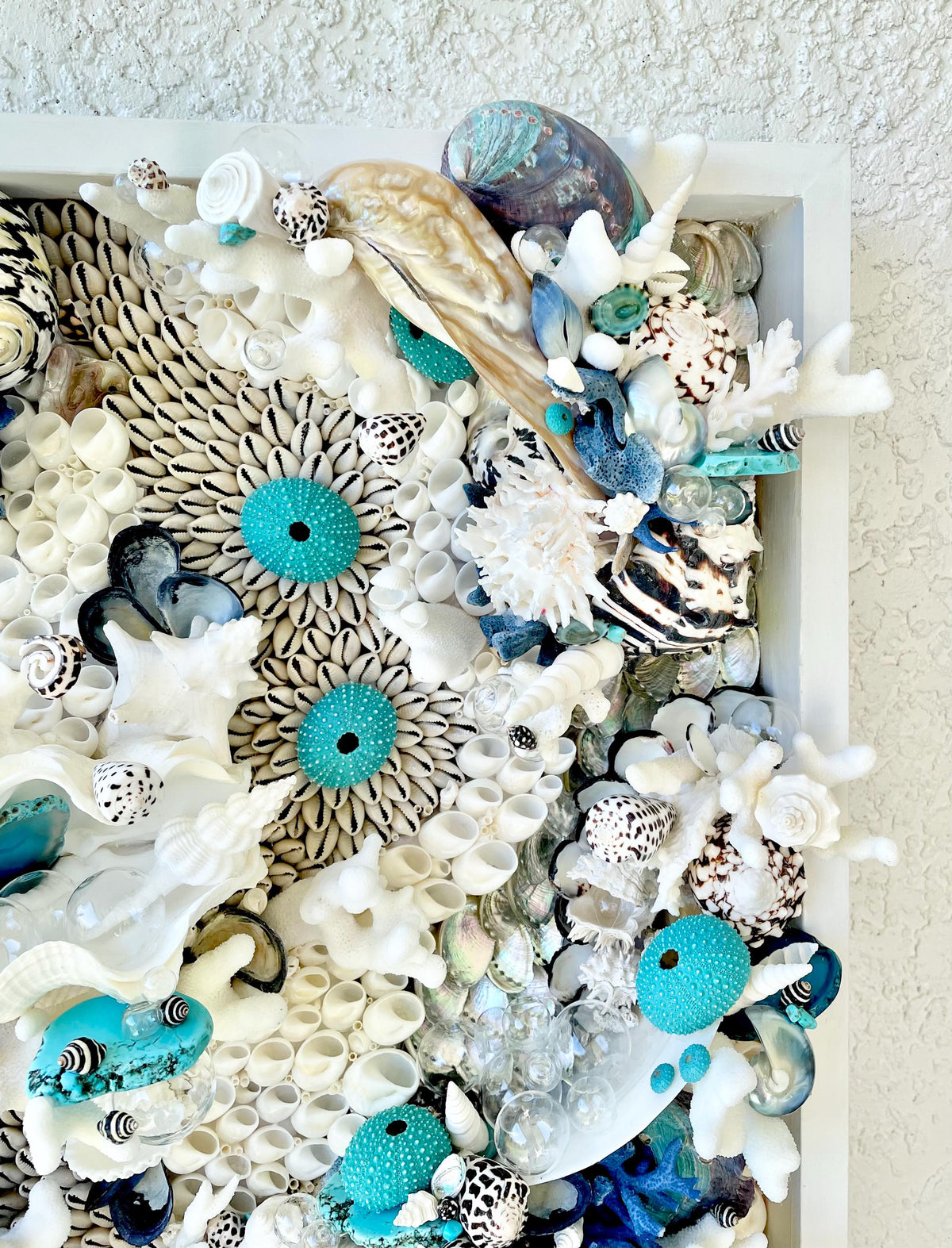 Feeling Bubbly Seashell Wall Art: Textured Coastal Décor, 30x15" Turquoise Blue
