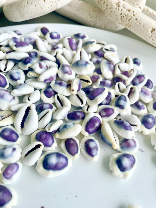 Purple Top Money Cowrie Shells *You Choose Quantity* .5-1" White Small Craft Seashells