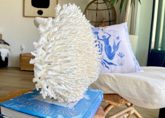 Natural TABLE CORAL 14.5" x 11" x 5.5" White Fossil Specimen Coastal Beach House Décor