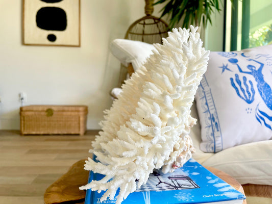Natural TABLE CORAL 14.5" x 9.5" x 7.5" White Fossil Specimen Coastal Beach House Décor